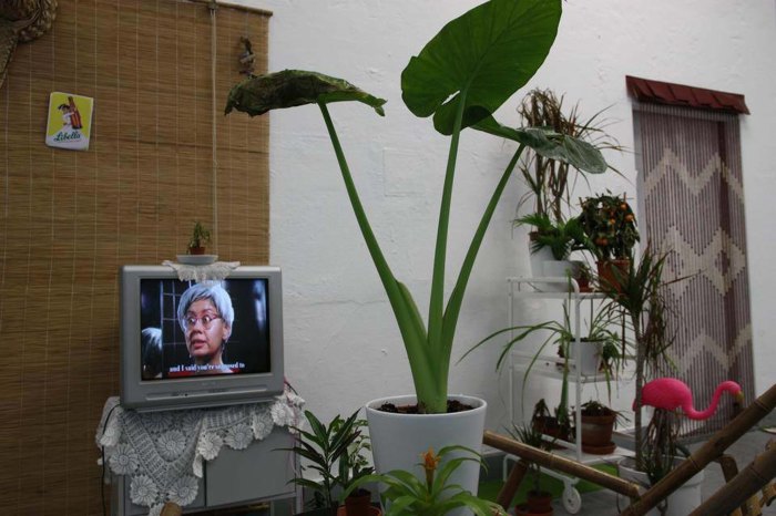 16649043_1575535545809284_4456947962925019482_n_960